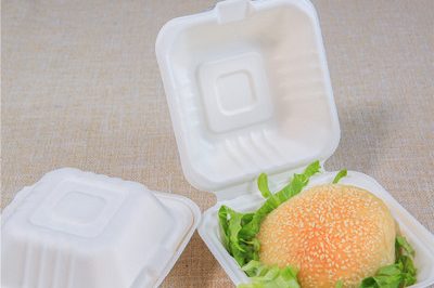Bagasse takeaway food box (4) – 副本