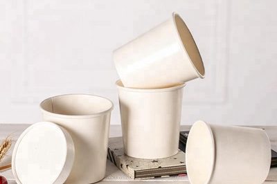 Discount paper bowl (3) – 副本