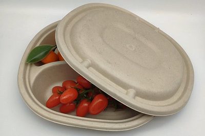 New takeaway food box (3) – 副本