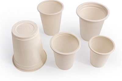 Plastic cornstarch cup (2) – 副本